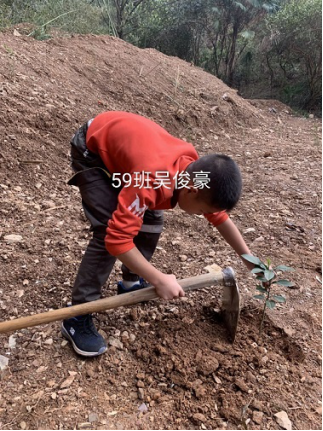 衡陽(yáng)市蒸湘區(qū)仁愛(ài)實(shí)驗(yàn)中學(xué)|衡陽(yáng)全日制|全寄宿|全封閉|半月假制初級(jí)中學(xué) 衡陽(yáng)市蒸湘區(qū)仁愛(ài)實(shí)驗(yàn)中學(xué)|衡陽(yáng)全日制|全寄宿|全封閉|半月假制初級(jí)中學(xué)